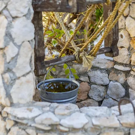 Hébergement de vacances Ydra Protaras